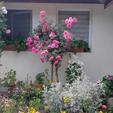 Ieşelniţa Casa Luminita 빌라 외부 사진