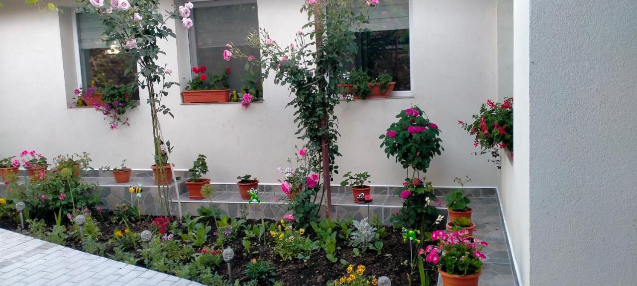 Ieşelniţa Casa Luminita 빌라 외부 사진
