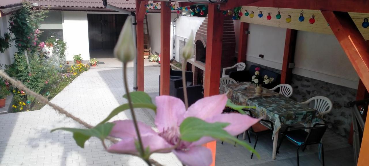 Ieşelniţa Casa Luminita 빌라 외부 사진